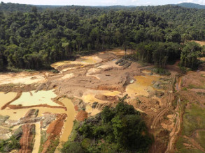 Orpaillage illégal en Amazonie